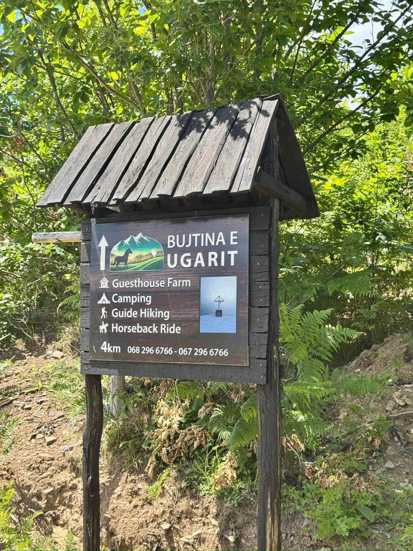 Tabela e Bujtinës e Ugarit në Palç